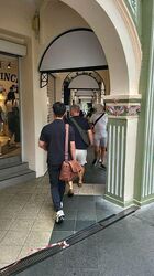 Peranakan Place (D9), Retail #462620211